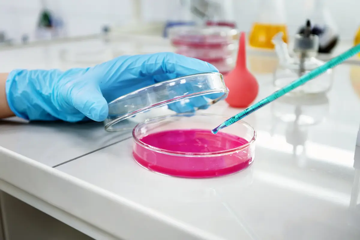 Antibióticos para enterococos resistentes e estratégias atuais 2 Hands of clinician holding tools during scientific experiment in laboratory