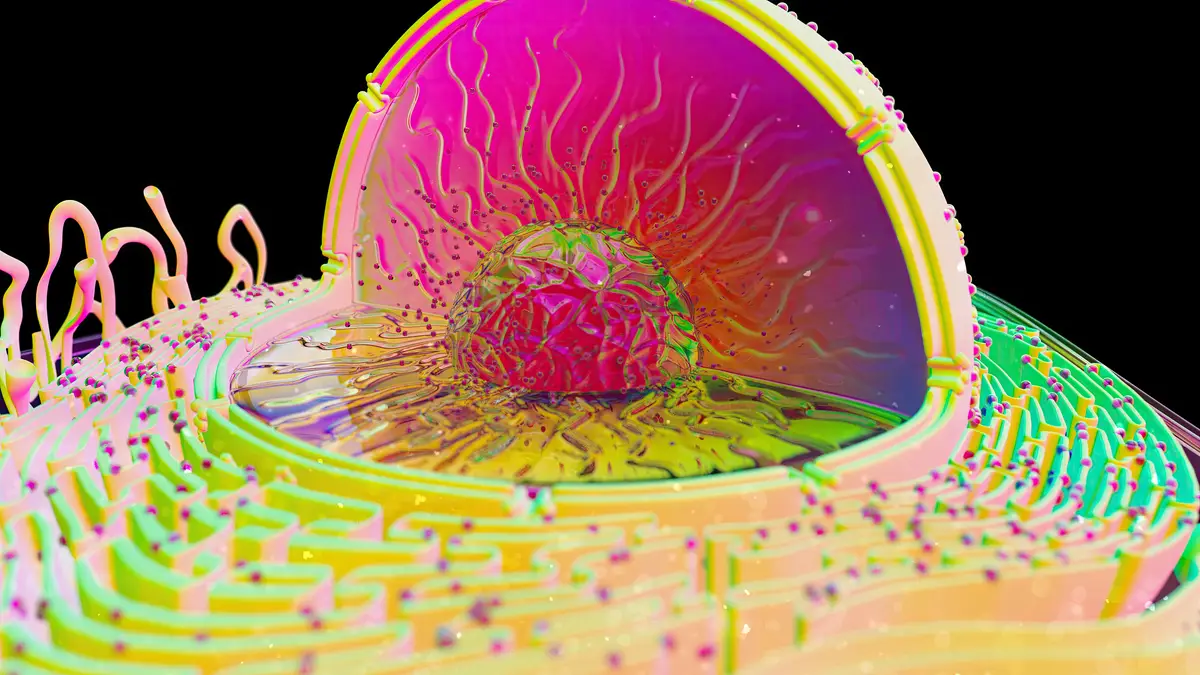 Abstract illustration of the biological cell