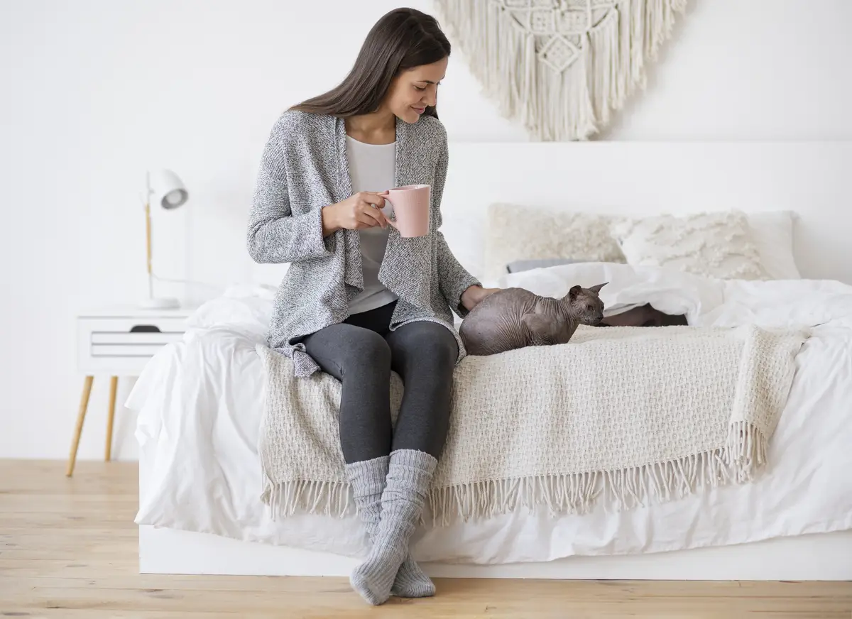 Pet cat lifestyle and portraits