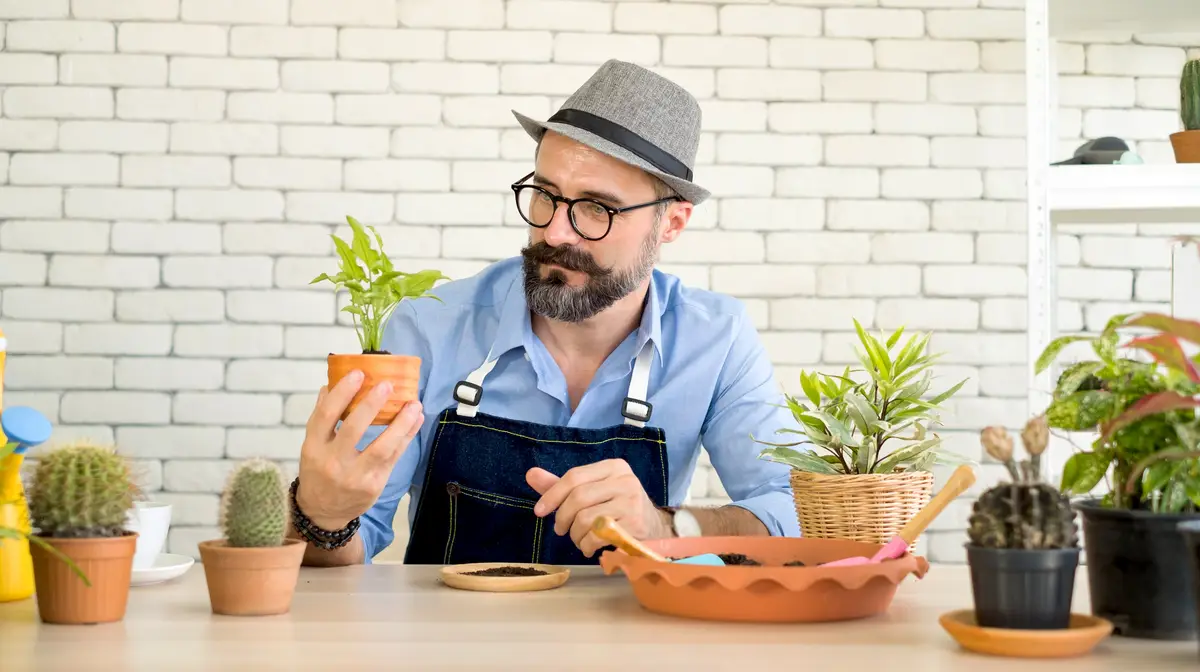 Midsection of man holding potted plant