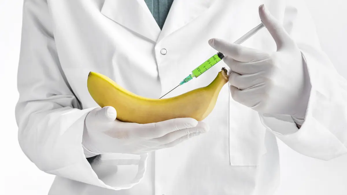 Person wearing gloves injecting a banana
