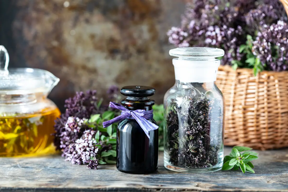 Healthy tea from oregano flowers in a beautiful mug on a wooden background