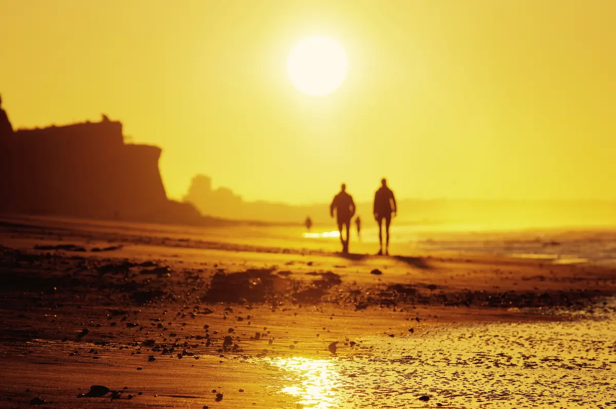 Silhouette people walking on beach against clear sky during sunset