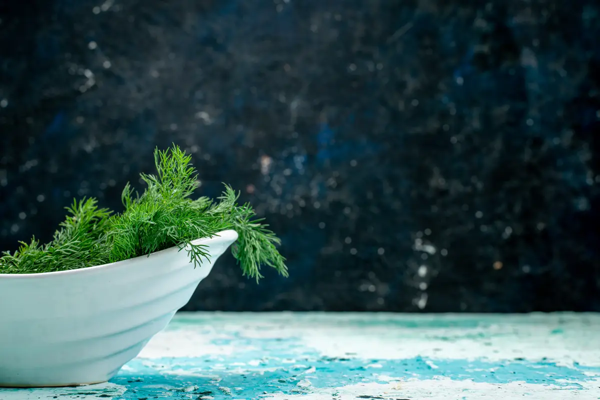 fresh greens inside plate on bright-blue desk