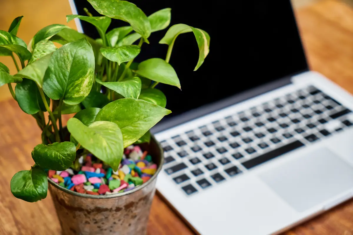 lifestyles education wooden relaxation computer keyboard