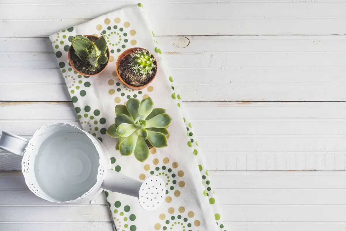 Watering can and plants in pot over the napkin on the wooden table