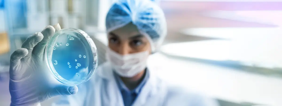 Uso de rifampicina e opções na infecção de próteses ortopédicas 2 Front view doctor holding petri dish