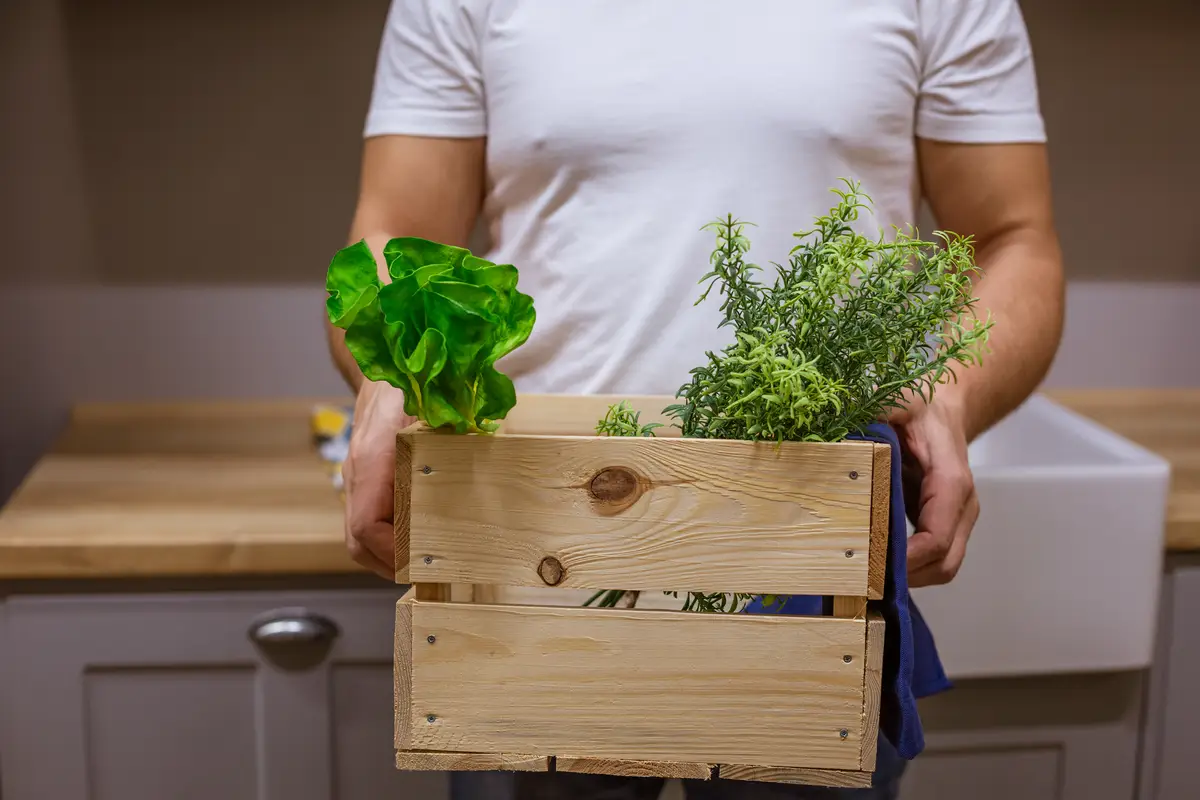 A man holds a wooden box with greenery, without a face