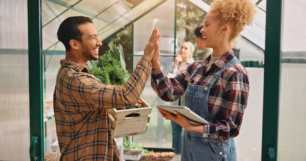 High five tablet and people with vegetables on farm with success for plants crops and harvest Agriculture greenhouse and man and woman celebrate on digital tech for inventory checklist or growth