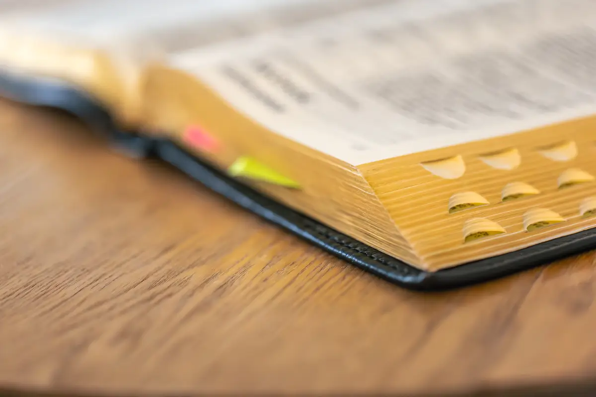 Warm detail of an open bible with tabs guiding faith navigation bible navigation
