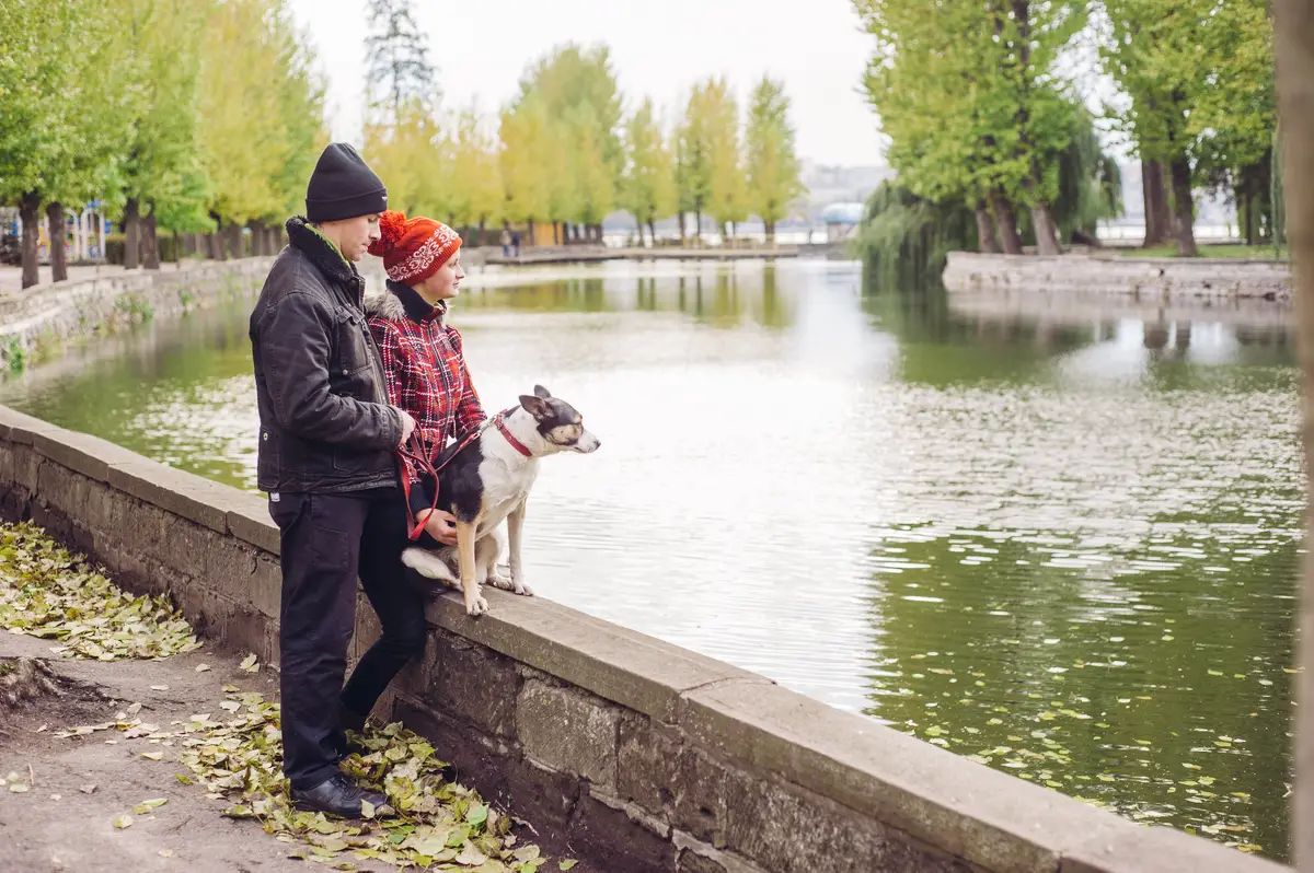 leisure nature natural young walk