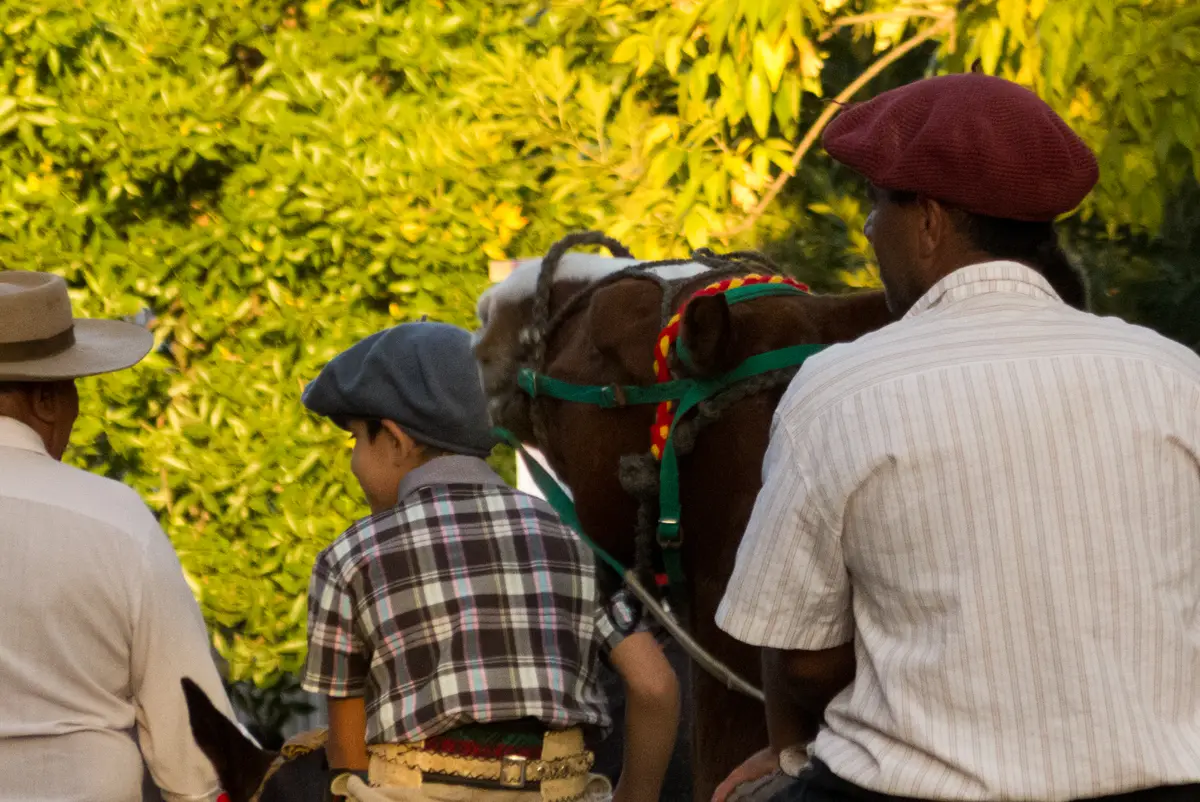 Rear view of people riding horses in forest