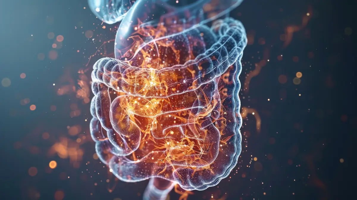 Detailed human stomach 3D hologram for medical educational purposes