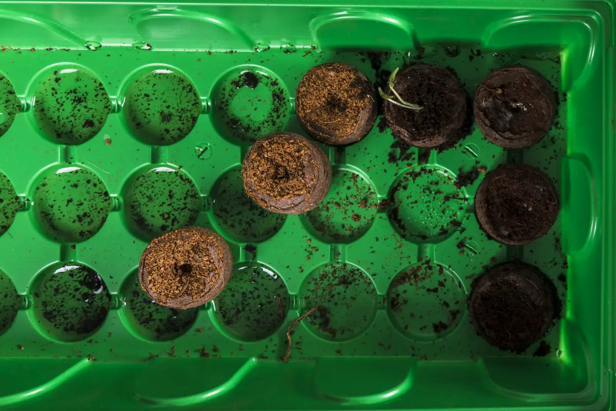 Still life with gardening concept