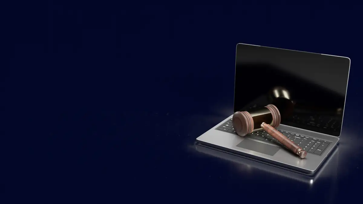 Information Technology Law