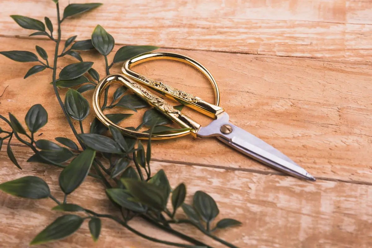Golden scissors with green leaves