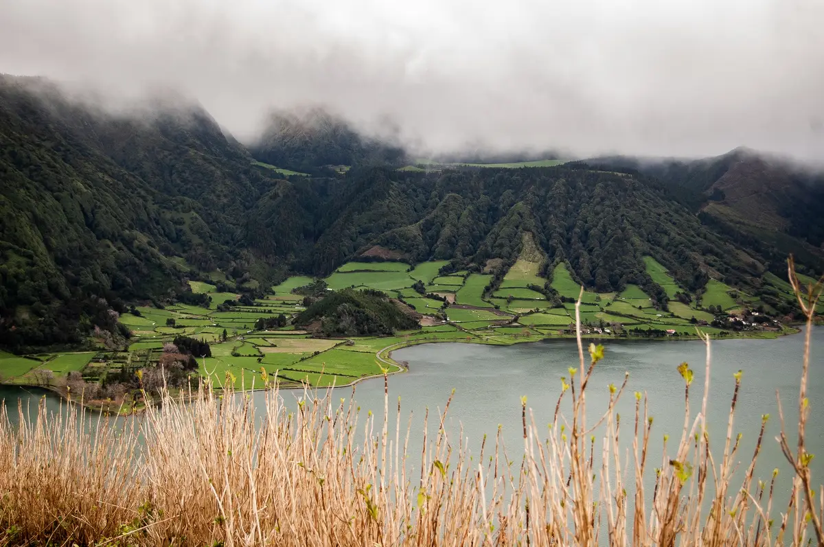 Long-range shot of a grass field near forested mountains in fog near the sea