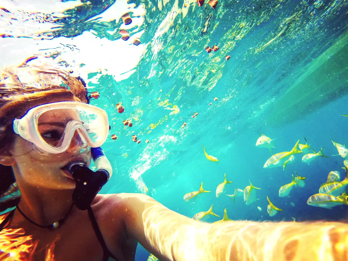 Woman looking at school of fish while snorkeling in sea