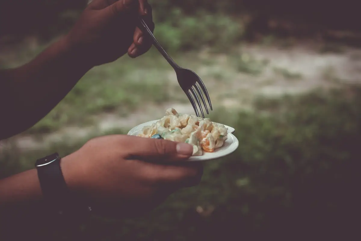 Close-up of hand holding salad on plate