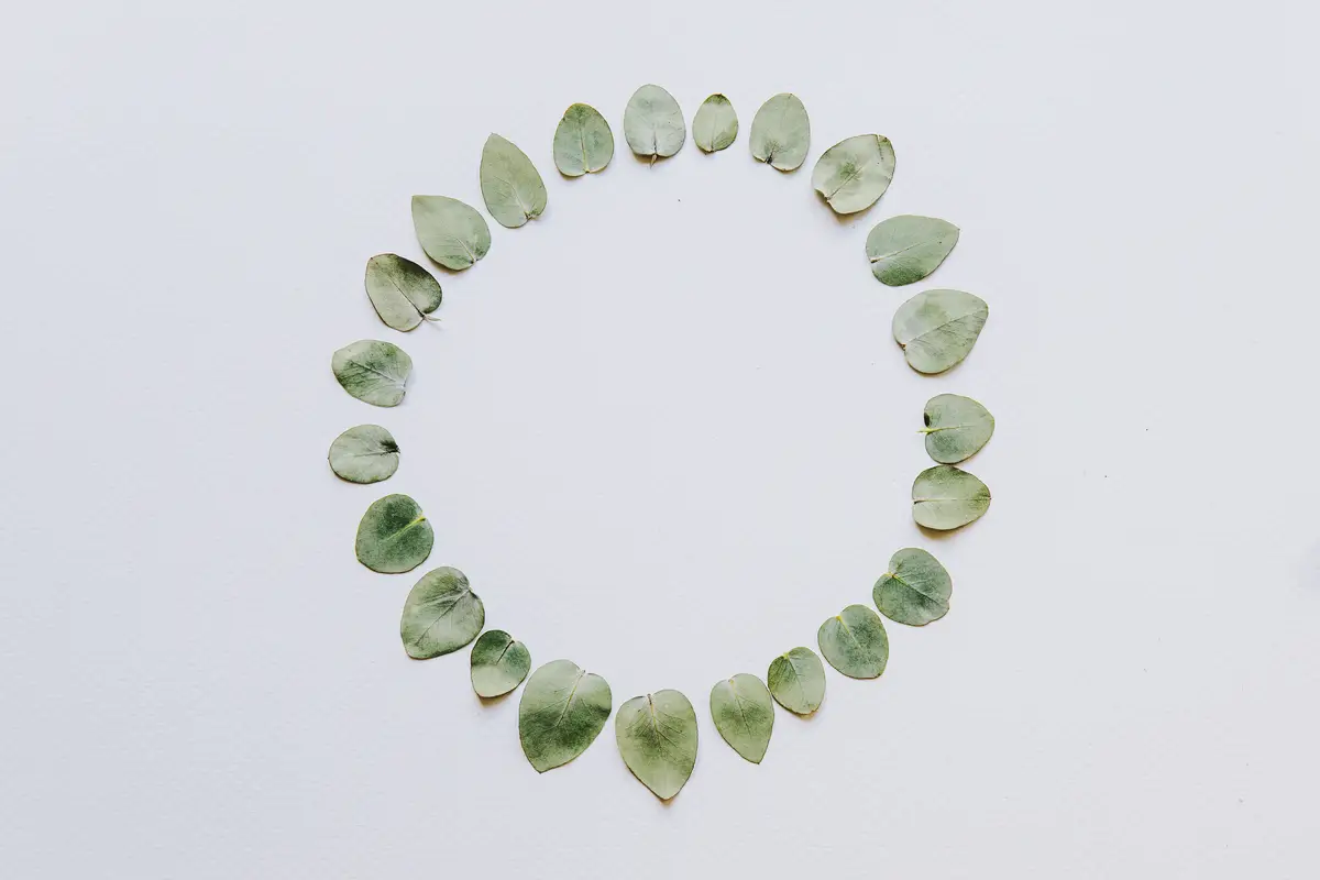 Floral composition with leaves forming circle