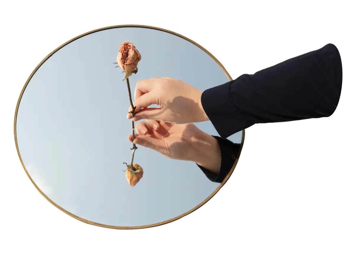 Dried rose png mirror transparent background