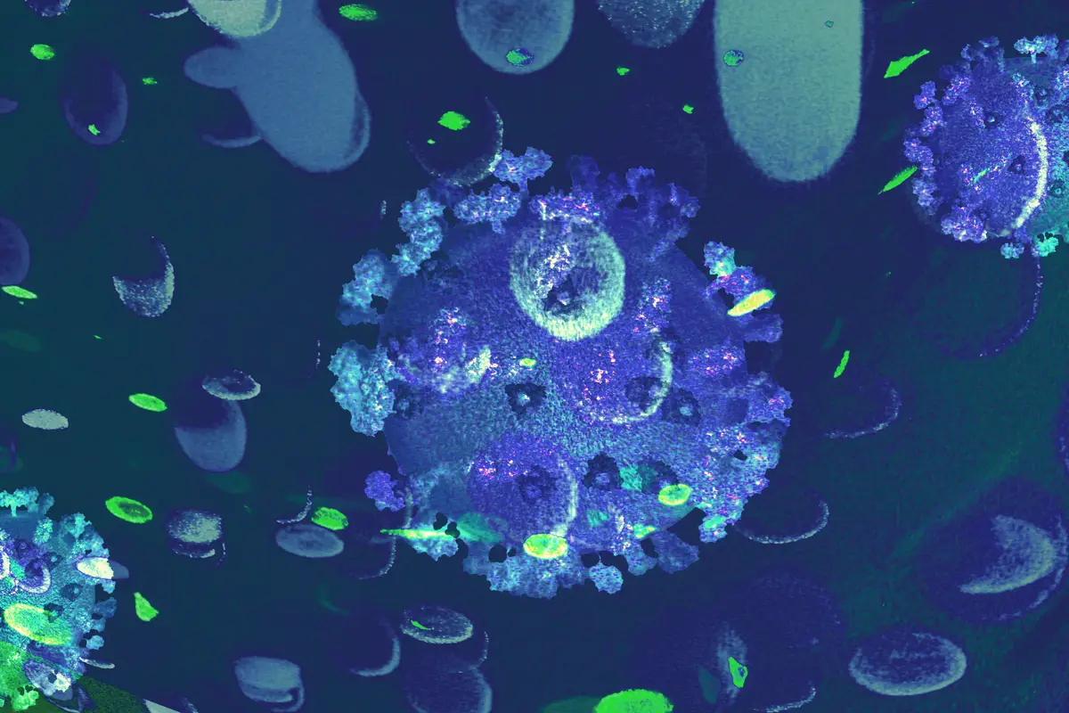 Abordagem para infecções comuns por bactérias gram-negativas 2 Blue infectious coronavirus outbreak