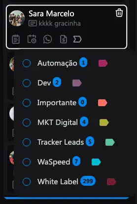 Captura de tela da interface do WaSpeed mostrando organização de contatos em abas personalizadas com contagem de etiquetas coloridas
