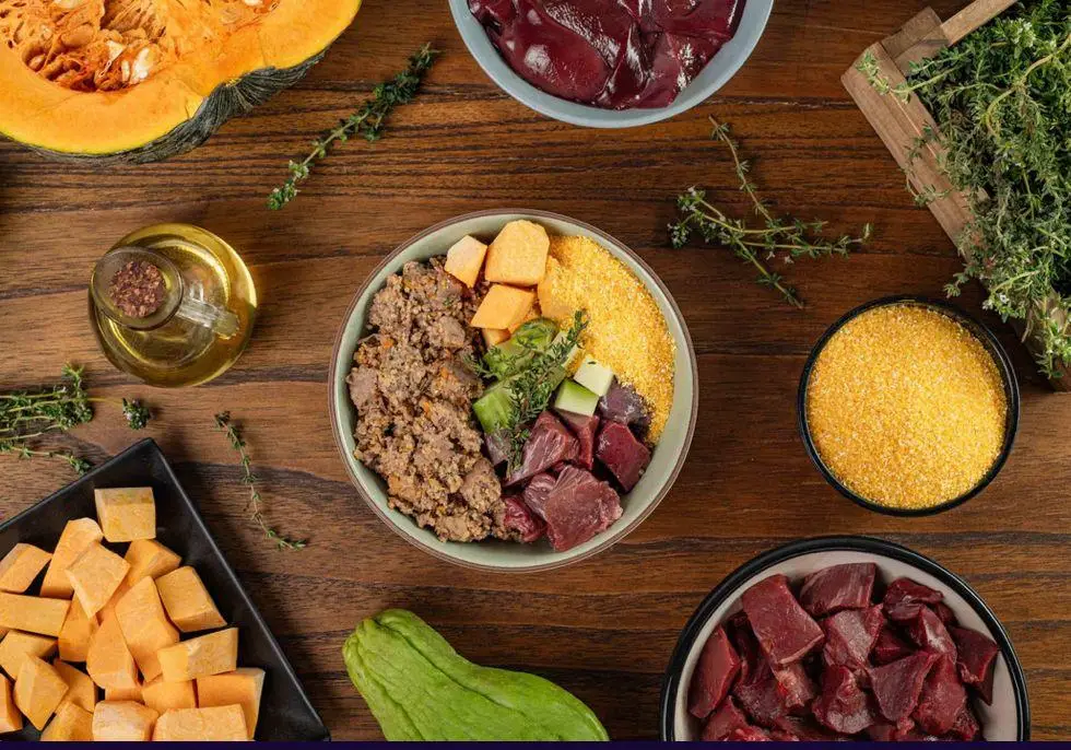 Tigela com alimentação natural para cães com carne, farinha amarela, abóbora e legumes frescos sobre mesa de madeira