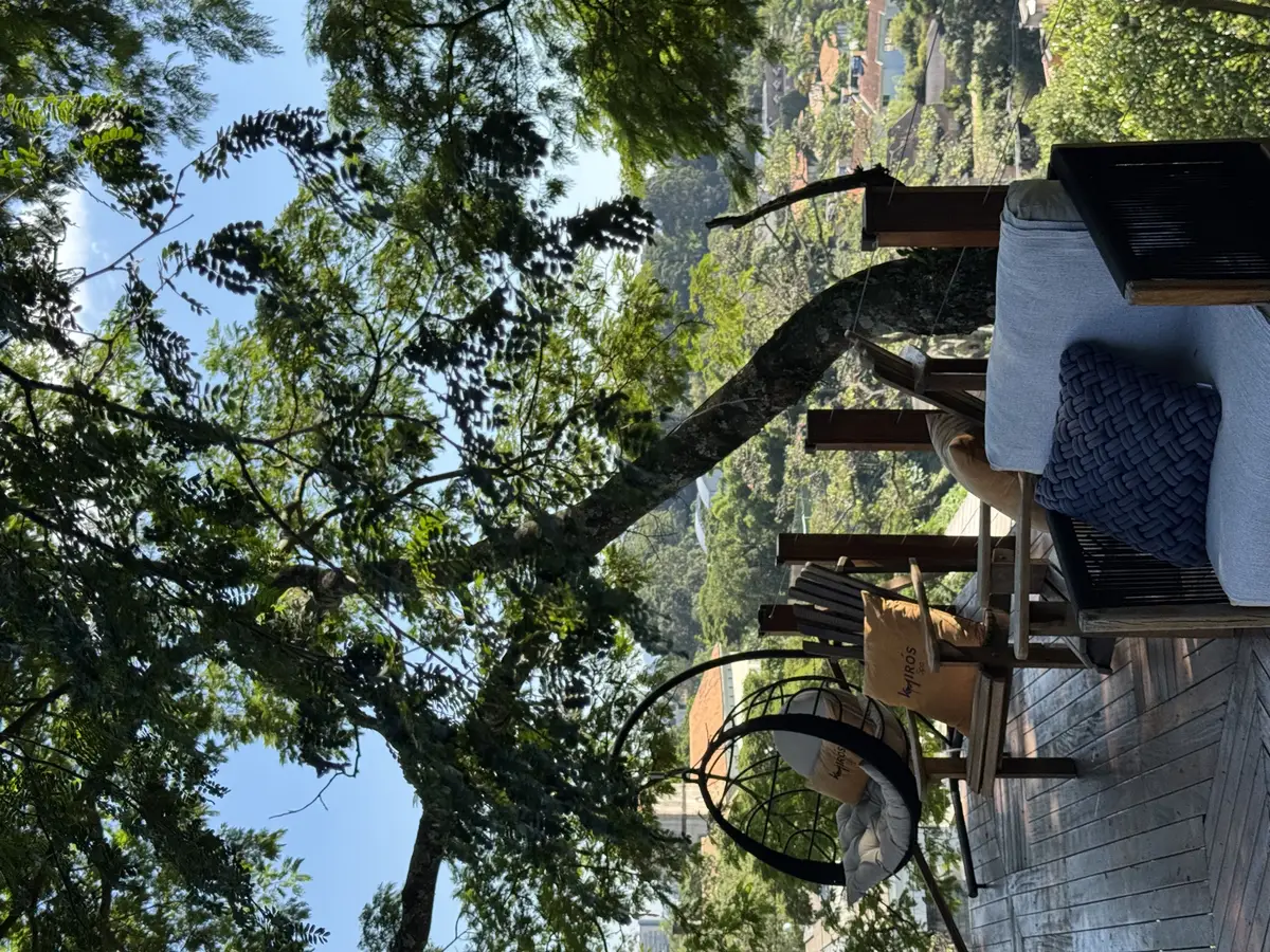 Área externa de spa com cadeira de balanço e sofás sob árvores verdes