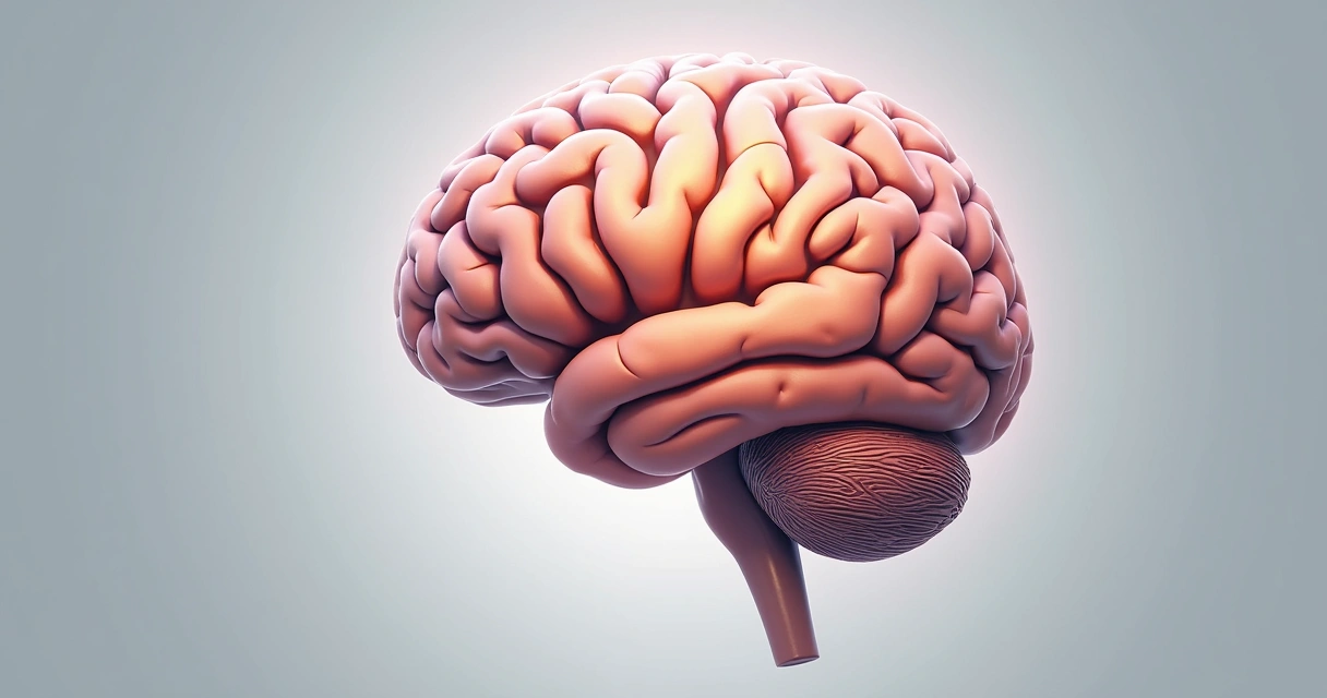 Illustration of the brain highlighting prefrontal cortex, limbic system, and basal ganglia 