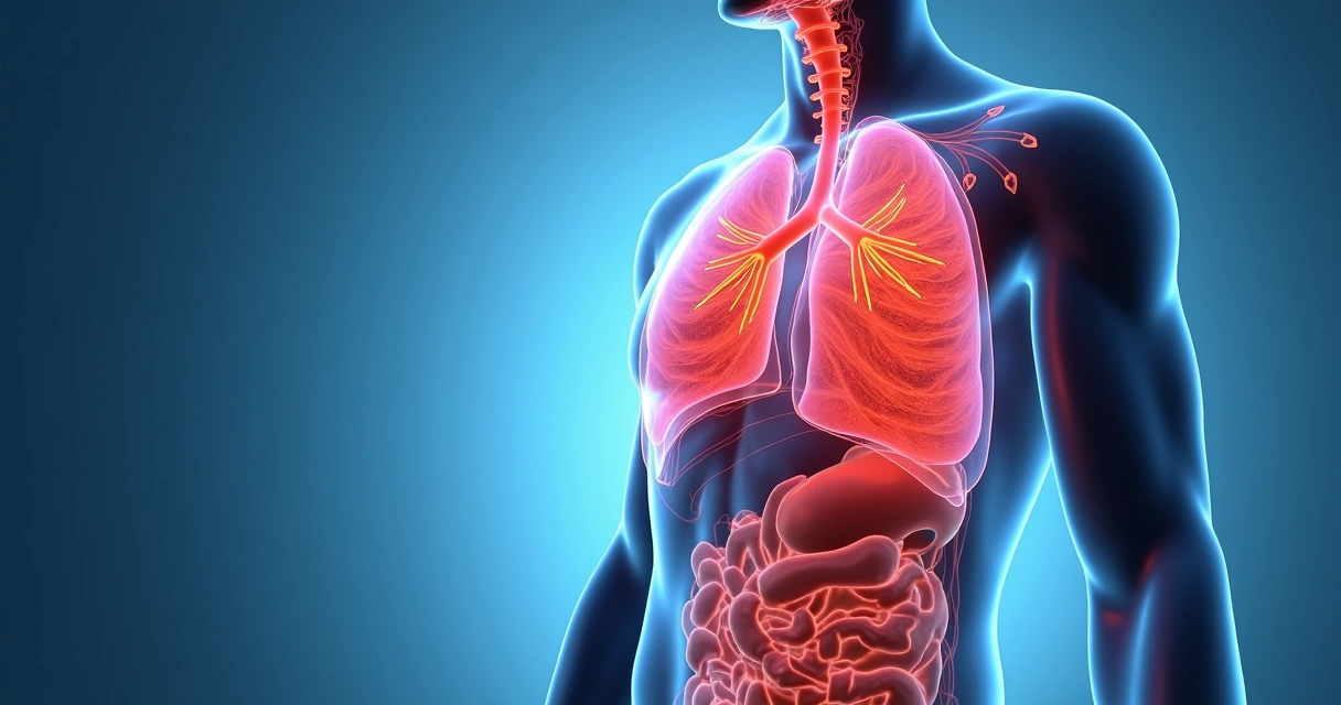 Close-up illustration of chest and abdomen showing breathing and muscle tension 