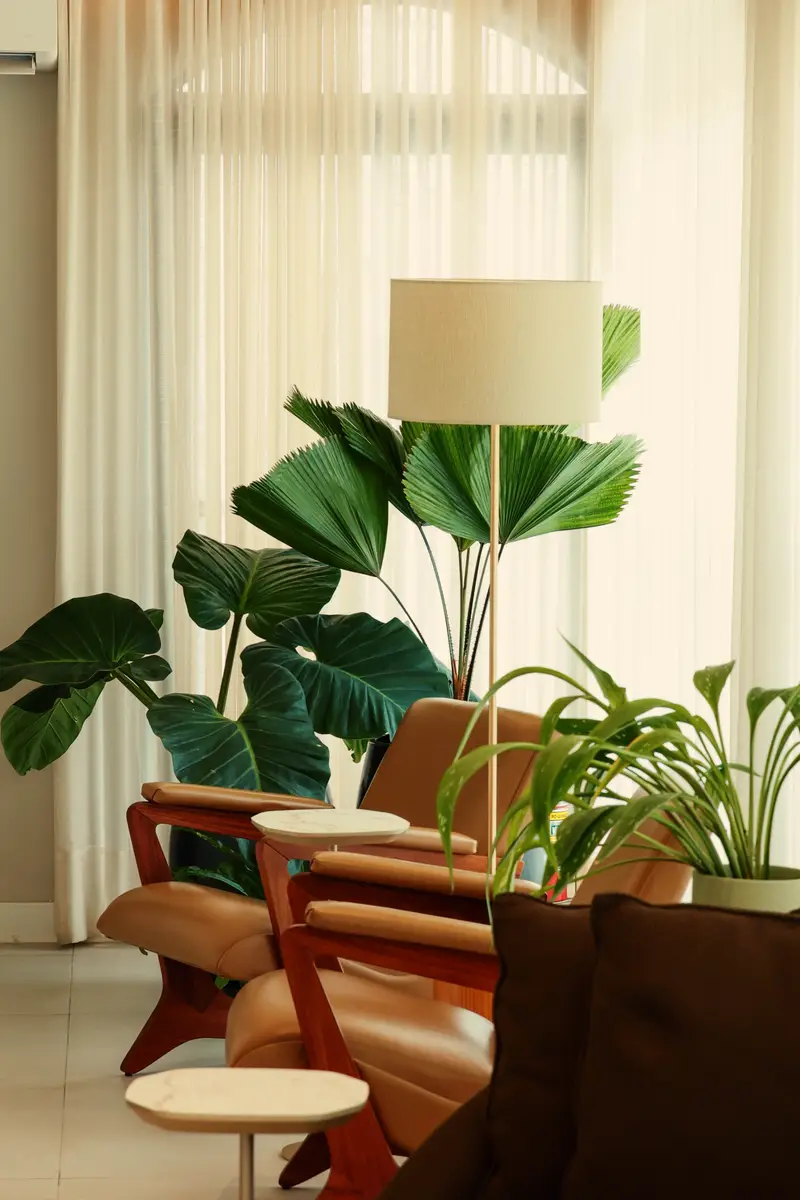Cadeiras de madeira com estofado caramelo próximas a plantas verdes em ambientes interno acolhedor