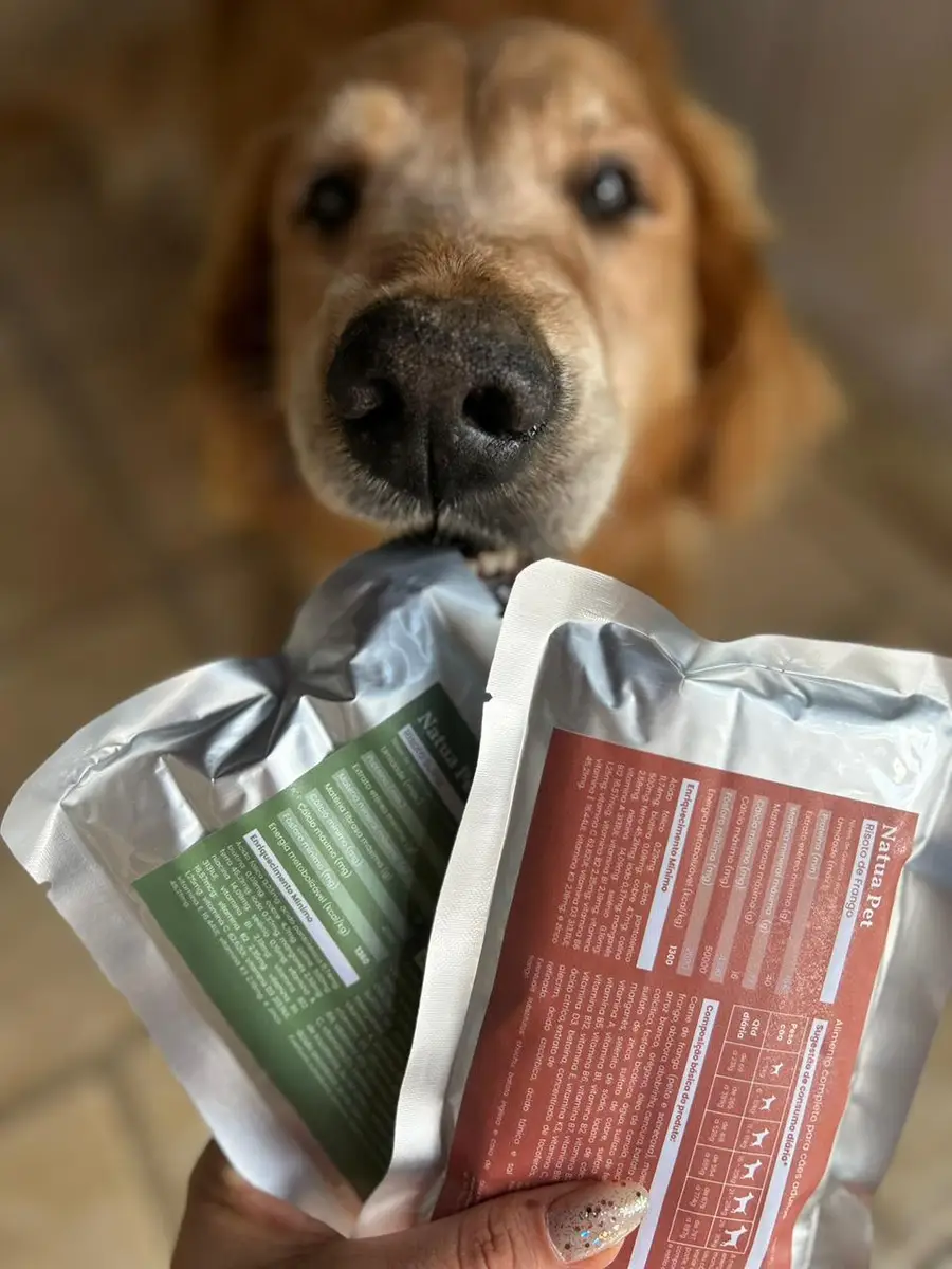 Mão segurando dois pacotes de comida natural para cães com um cachorro ao fundo focado no alimento.