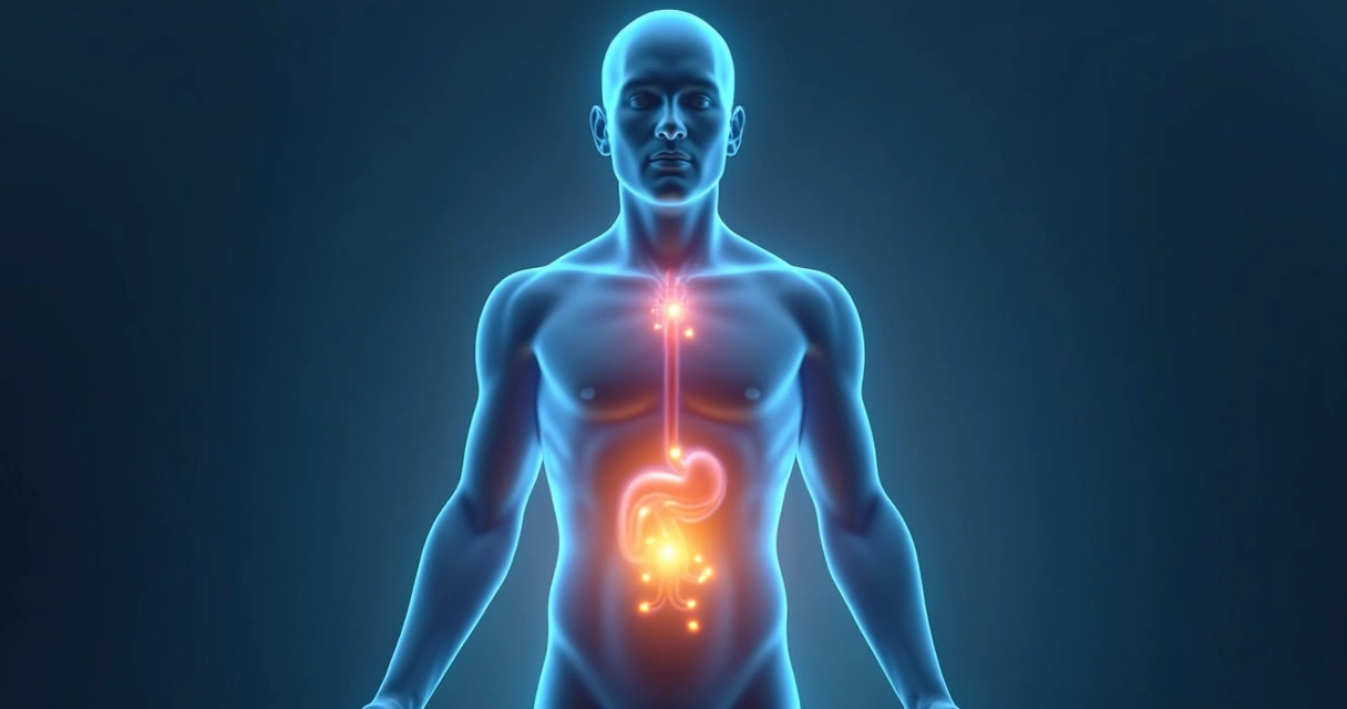 Corpo humano com pontos iluminados mostrando áreas de resposta emocional 