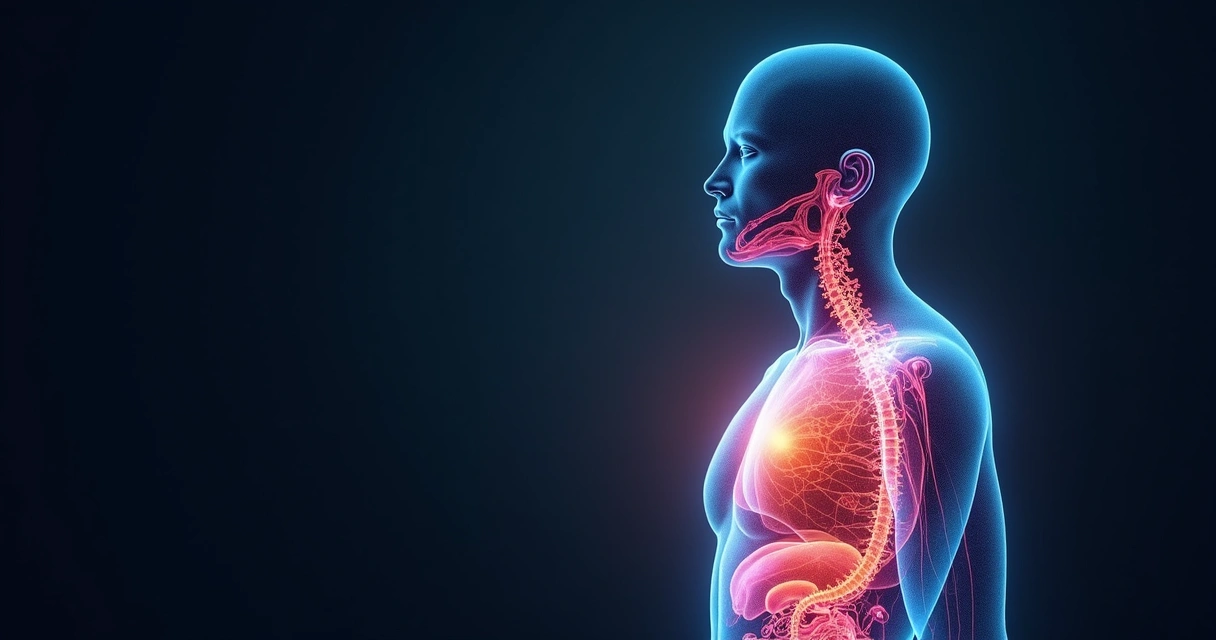 Silhouette humana con ondas de colores representando respiración