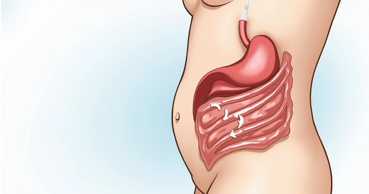 Diagrama de una persona mostrando respiración abdominal profunda 