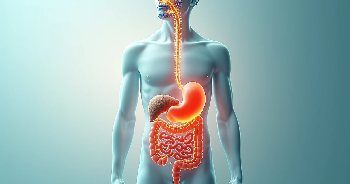 Insuficiência Pancreática Exócrina: causas, sintomas e tratamento

