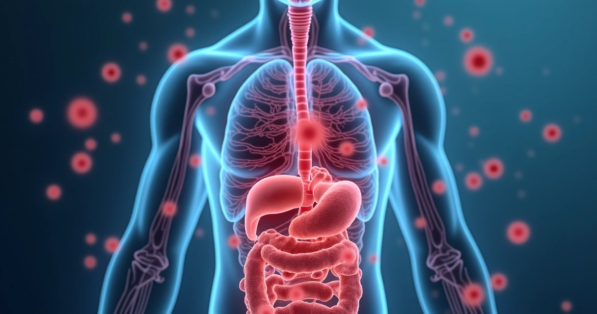 Ilustração do sistema imunológico atacando órgãos internos 