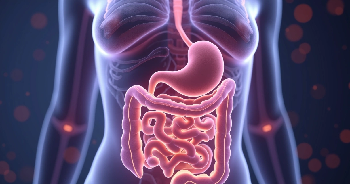 Ilustração do eixo intestino-cérebro em uma mulher.