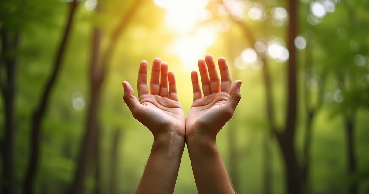 Manos abiertas al cielo con árboles y luz de fondo 