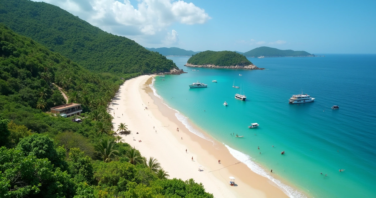 Vista aérea de praia em Ilha Grande com trilha na mata e mar azul-turquesa 