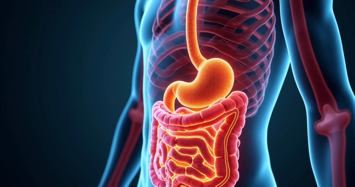Arte visual da ligação entre inflamação e microbiota intestinal 