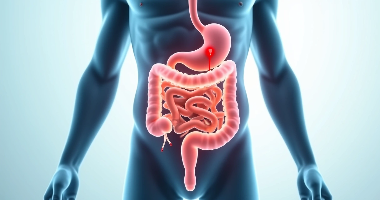 Esquema didático do intestino grosso com foco em sangramento como sinal de alerta 