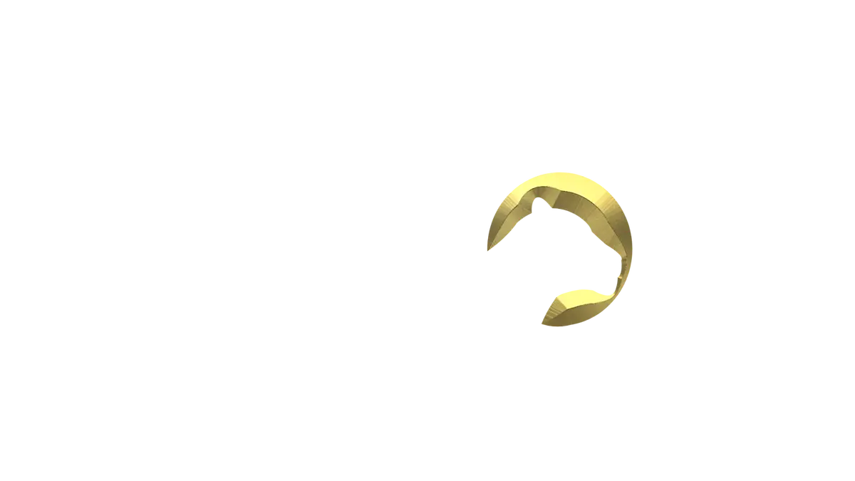 Logotipo de Wanessa Nery com texto branco e elemento dourado