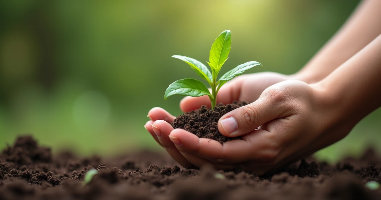 Mão humana segurando uma pequena planta verde com folhas vibrantes, solo úmido e fundo desfocado 