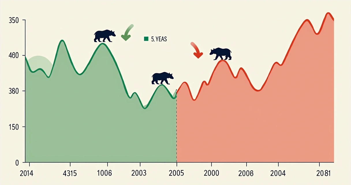 Gráfico estilizado mostrando períodos de bull e bear markets divididos por cores distintas 