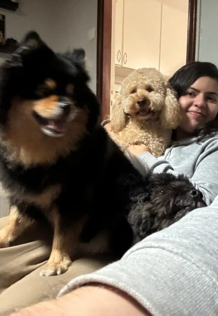 Mulher sentada no sofá com três cães de porte pequeno ao seu lado.