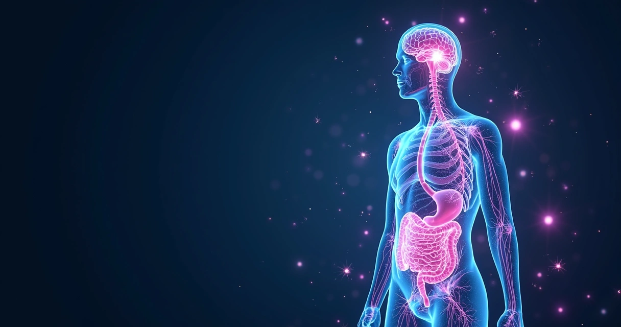 Representação de neurônios conectados no cérebro e no intestino, mostrando a ligação entre os sistemas.