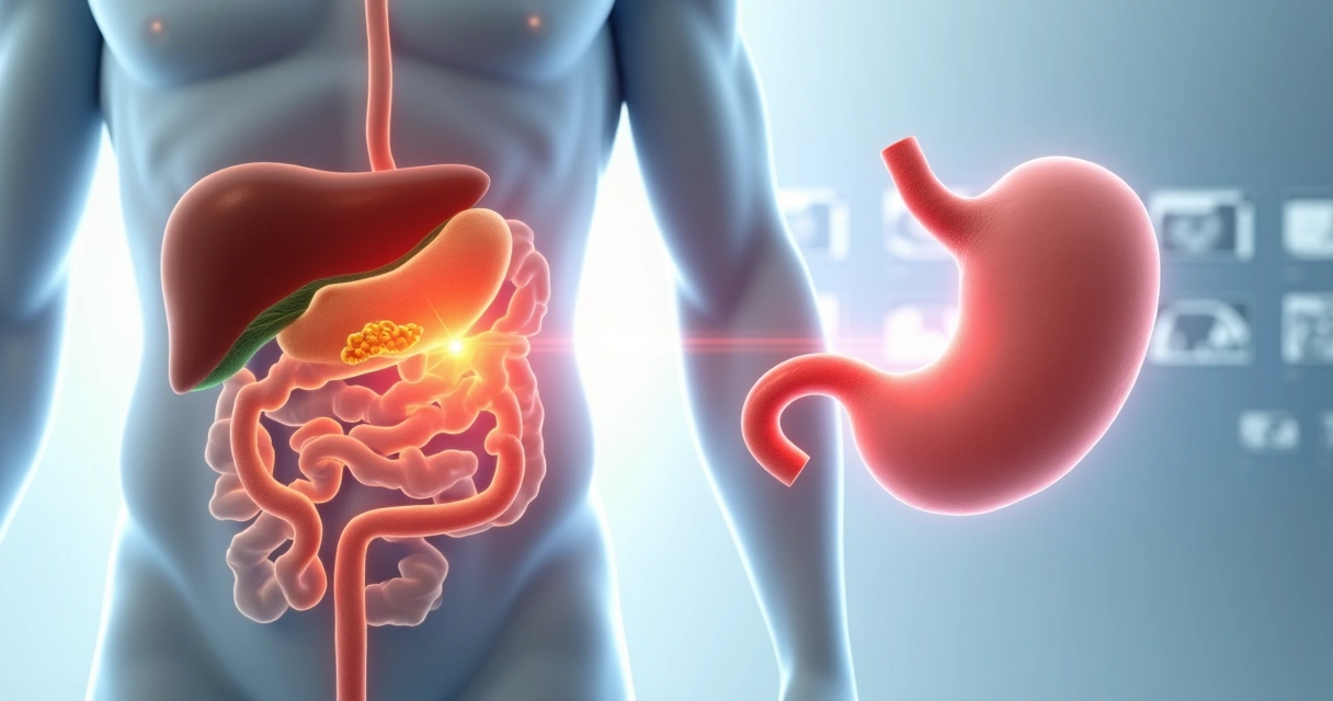 Ilustração médica mostrando vesícula com cálculos e pâncreas inflamado side by side 