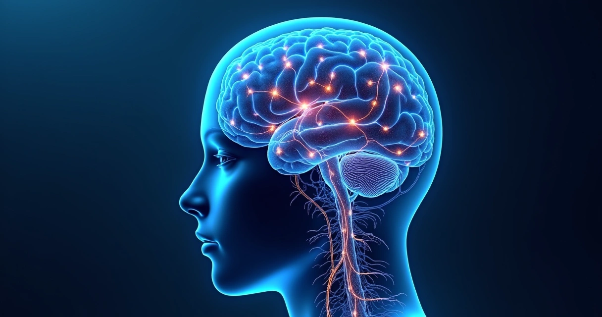 Ilustración de un cerebro con caminos luminosos mostrando conexiones automáticas